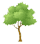 arbres sauvés