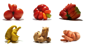 Visuel fruits moches