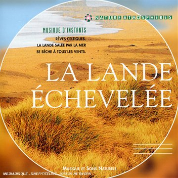 la lande echevelée