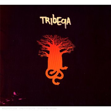 tribeqa
