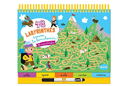 48 labyrinthes : trouve le bon chemin !