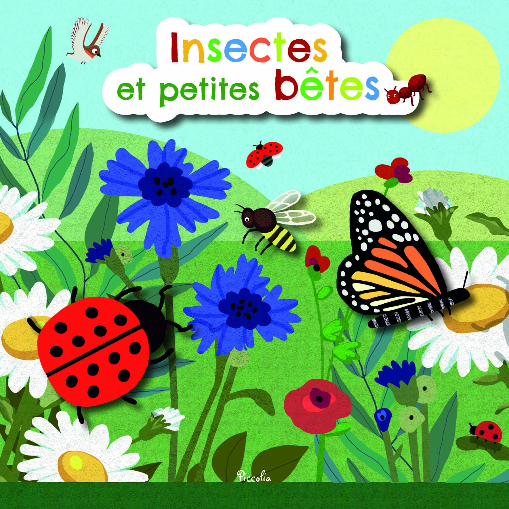 Insectes et petites bêtes