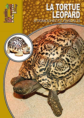 La tortue léopard : stigmochelys pardalis