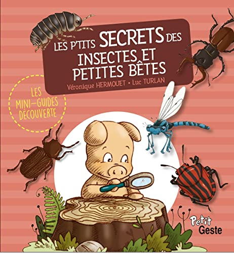 Les p'tits secrets des insectes et des petites bêtes