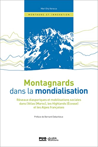 Montagnards dans la mondialisation : réseaux diasporiques et mobilisations sociales dans l'Atlas (Ma