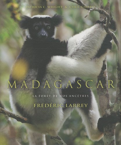 Madagascar : la forêt de nos ancêtres