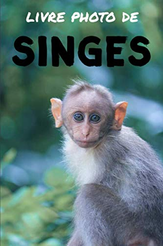 Livre photo de singes: Livre d'images relaxantes pour seniors et bien plus - Parfait pour les person