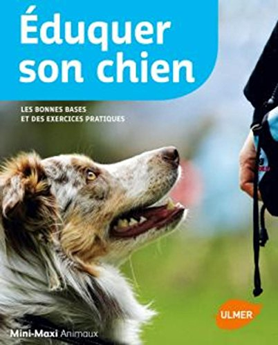 Eduquer son chien : les bonnes bases et des exercices pratiques