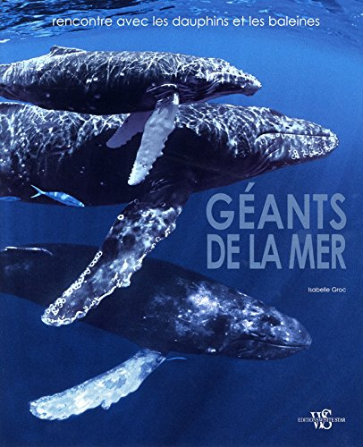 Géants de la mer : rencontre avec les dauphins et les baleines