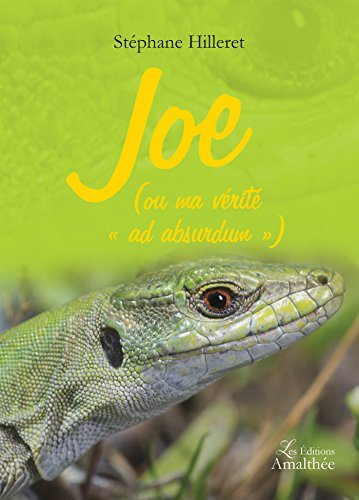 Joe (ou ma vérité « ad absurdum »)