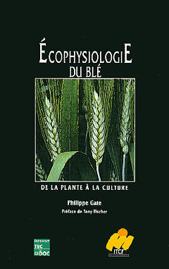 Ecophysiologie du blé
