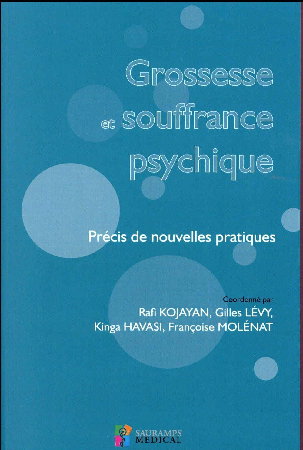 Grossesse et souffrance psychique : précis de nouvelles pratiques
