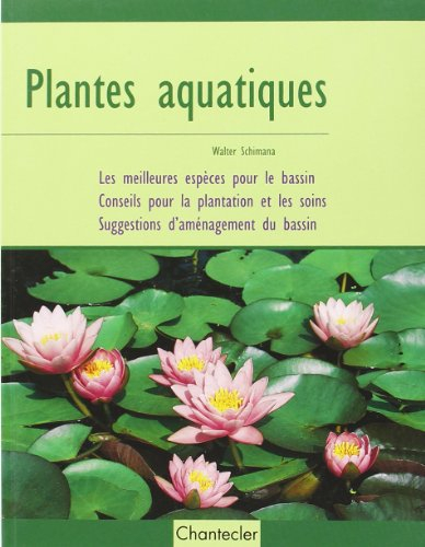 Plantes aquatiques : les meilleures espèces pour le bassin, conseils pour la plantation et les soins