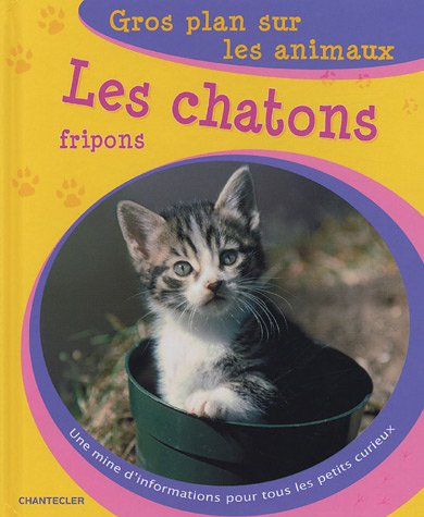 Les chatons fripons : une mine d'informations pour tous les petits curieux