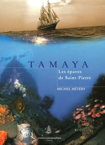 Tamaya : les épaves de Saint-Pierre