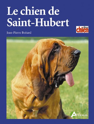 Le chien de saint-hubert