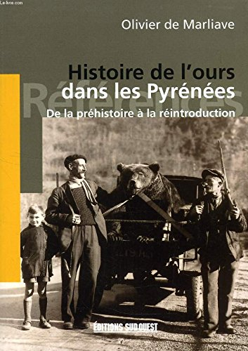 Histoire de l'ours dans les Pyrénées : de la préhistoire à la réintroduction