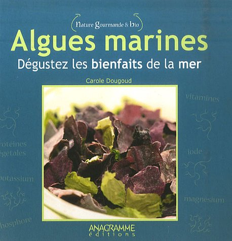 Algues marines : dégustez les bienfaits de la mer