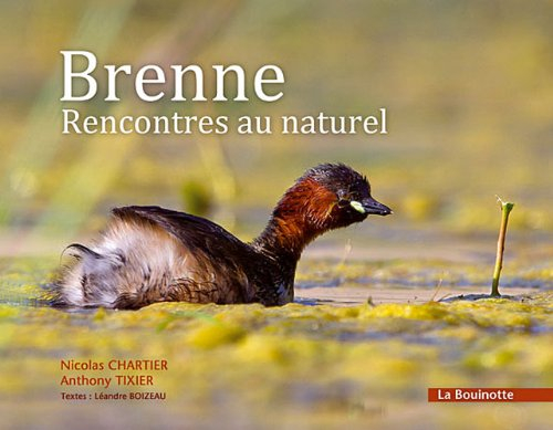 Brenne : rencontres au naturel