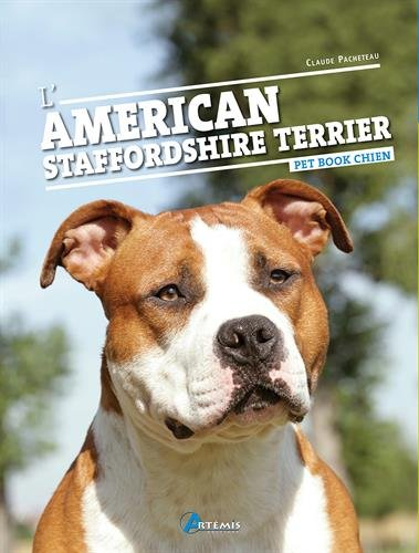 L'american staffordshire terrier