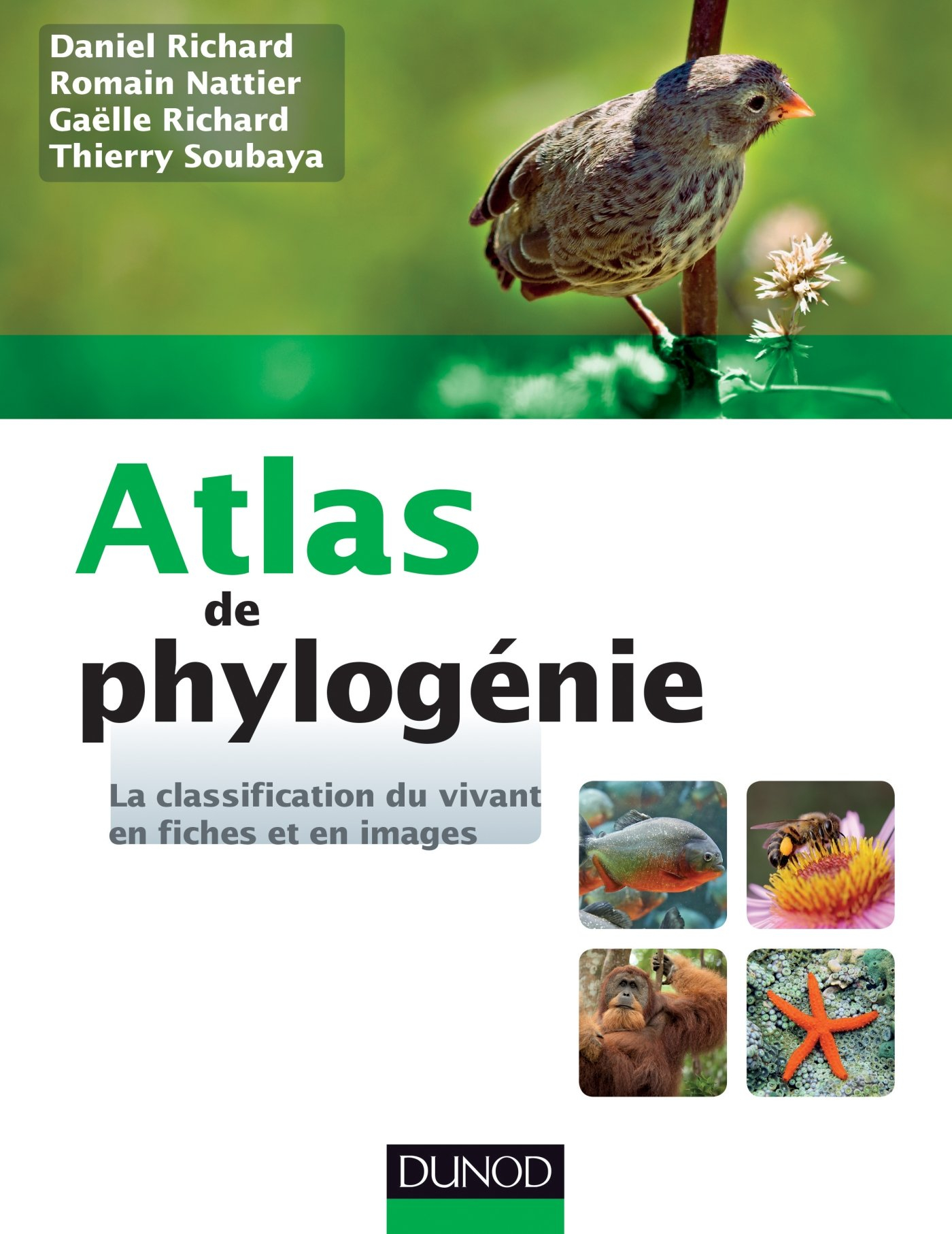 Atlas de phylogénie : la classification du vivant en fiches et en images