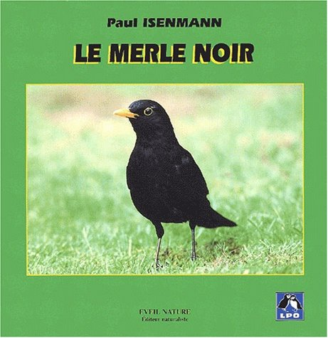 Le merle noir