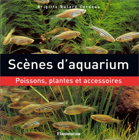 Scènes d'aquarium : poissons, plantes et accessoires