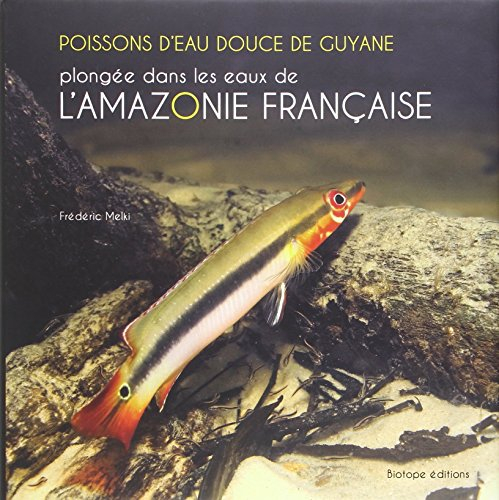 Poissons d'eau douce de Guyane : plongée dans les eaux de l'Amazonie française