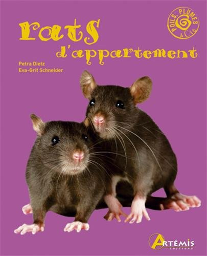 Les rats d'appartement