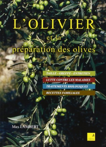 L'olivier et la préparation des olives en Provence : recettes familiales