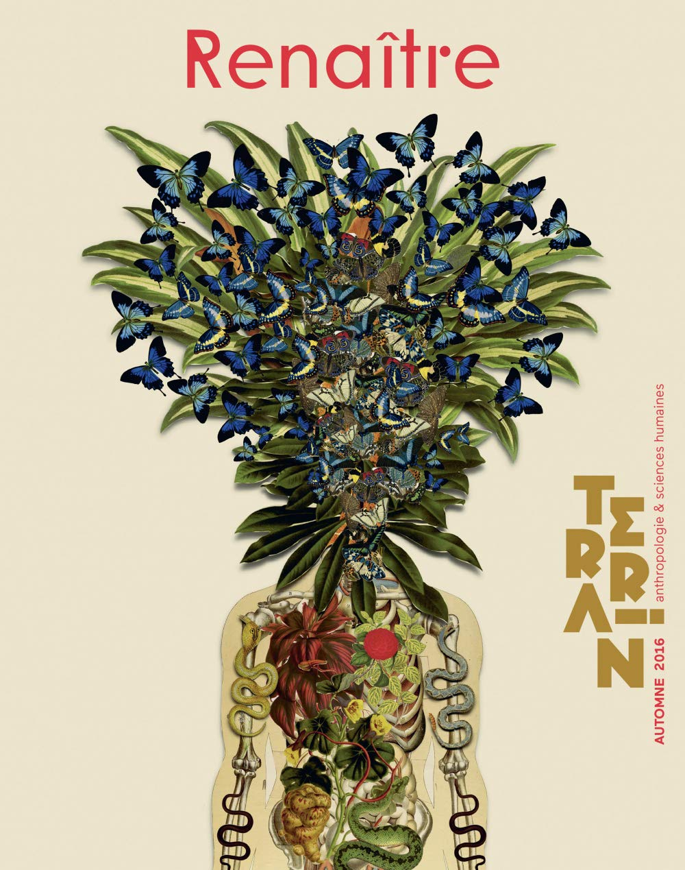 Terrain, n° 66. Renaître