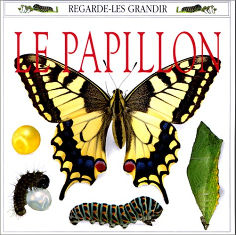 Le papillon