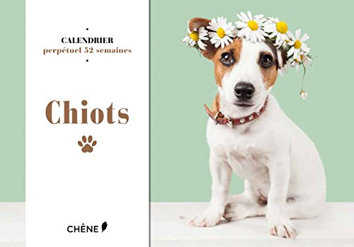 Chiots : calendrier perpétuel 52 semaines