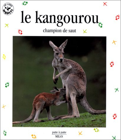 Le kangourou : champion de saut
