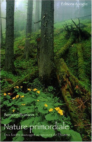 Nature primordiale : des forêts sauvages au secours de l'homme