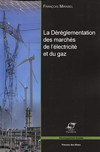 La déréglementation des marchés de l'électricité et du gaz : les grands enjeux économiques