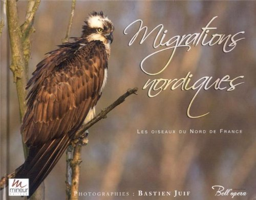 Migrations nordiques : les oiseaux du nord de France