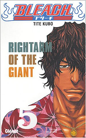 Bleach. Vol. 5. Rightarm of the giant