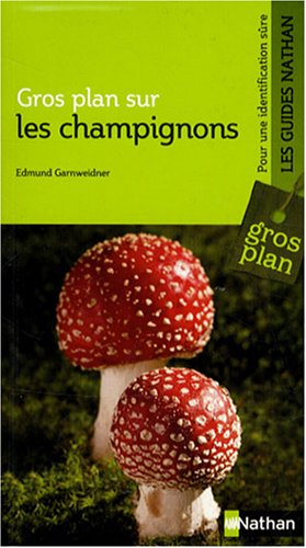 Gros plan sur les champignons