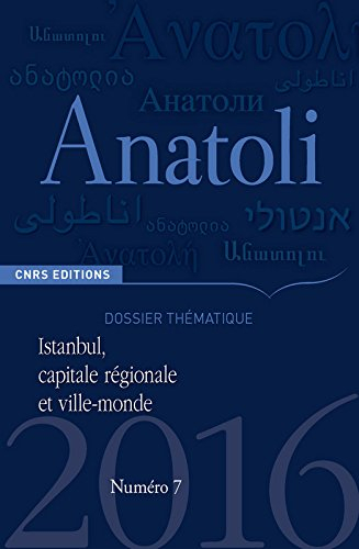 anatoli 7 - istanbul, capitale régionale et ville-monde
