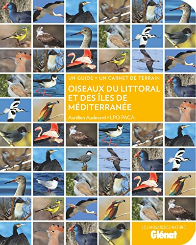 Oiseaux du littoral et des îles de Méditerranée : un guide + un carnet de terrain