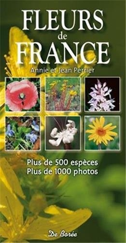 Fleurs de France : plus de 500 espèces, plus de 1.000 photos