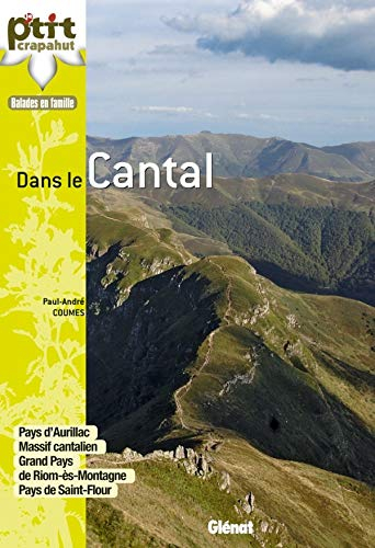 Dans le Cantal : pays d'Aurillac, massif cantalien, grand pays de Riom-ès-Montagne, pays de Saint-Fl