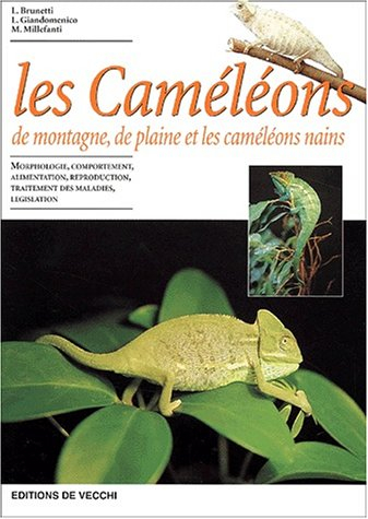 Les caméléons