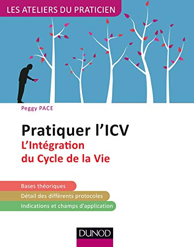 Pratiquer l'ICV : l'intégration du cycle de la vie : bases théoriques, détail des différents protoco