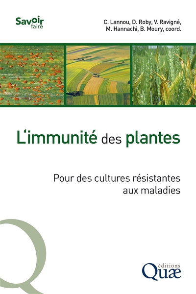 L'immunité des plantes : pour des cultures résistantes aux maladies