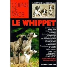 le whippet