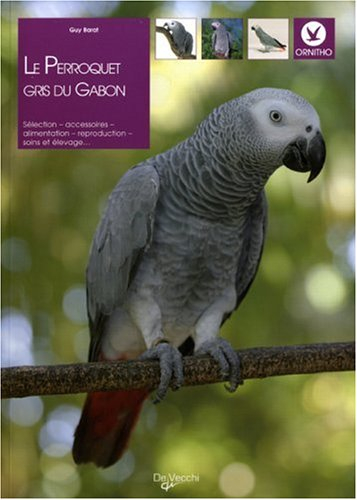 Le perroquet gris du Gabon : sélection, accessoires, alimentation, reproduction, soins et élevage...