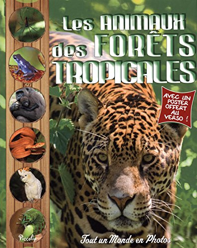 Les animaux des forêts tropicales