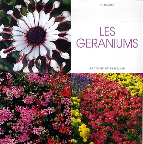 Les géraniums : les choisir et les soigner